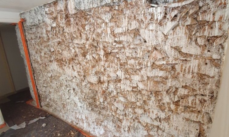Traitement contre les sels hygroscopiques liés à l'assèchement des murs en pierre à Nîmes