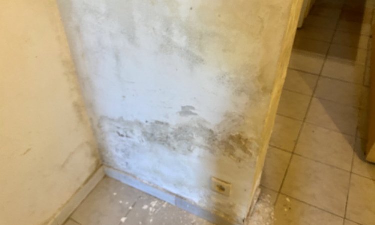 Humidité-diagnostic-salpêtre-moisissures-murs-humides-dégradations-bati-protect-sud-Montpellier